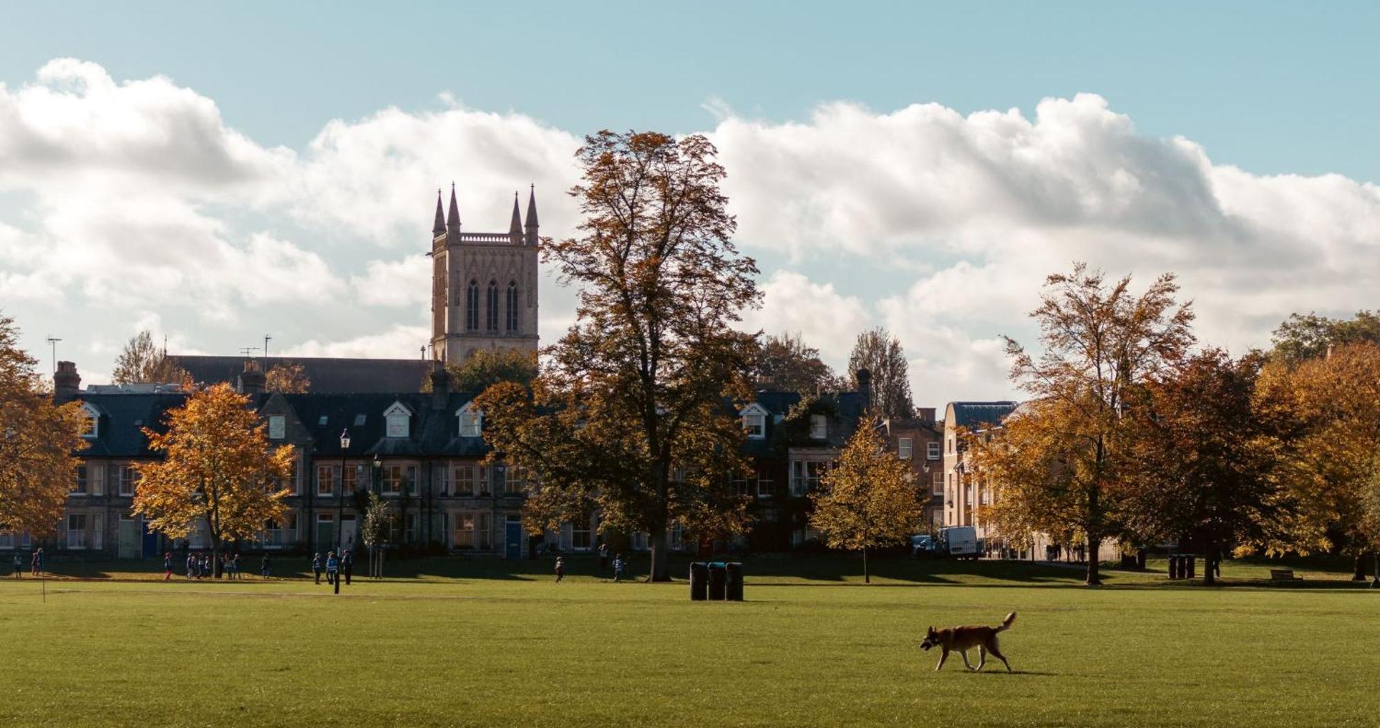 Cambridge Stays - Apartment At Addenbrooke Hospital And Bio Campus - Free Private Parking Exterior photo